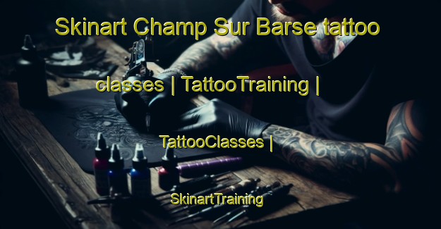 Skinart Champ Sur Barse tattoo classes | TattooTraining | TattooClasses | SkinartTraining-France